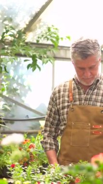 Bahçıvan ya da çiçekçi çiçek serasının içindeki bir fidanlıkta çalışıyor, bir klasörle envanter çıkarıyor.