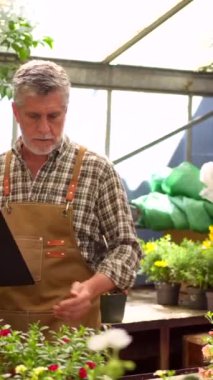 Bahçıvan ya da çiçekçi çiçek serasının içindeki bir çocuk odasında gün batımında bir klasörle envanter çıkarıyor.