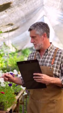 Bahçıvan çiçek serasının içindeki bir çocuk odasında çalışıyor, bir klasörle envanter çıkarıyor.