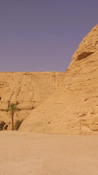 在埃及南部努比亚靠近纳赛尔湖的阿布辛贝尔神庙旁边 是一座美丽的涅弗塔里神庙 Pharaoh Ramses Ii圣殿 4K视频 — 图库视频影像