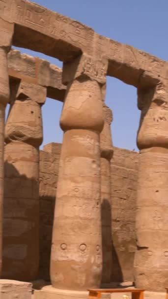 ルクソール寺院内のファラオの彫刻と ナイル川沿いのルクソール市のエジプトのコラムの図面 エジプト — ストック動画