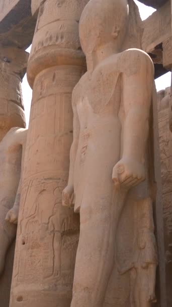 Patung Patung Firaun Dalam Kuil Luxor Dan Gambar Gambar Pada — Stok Video
