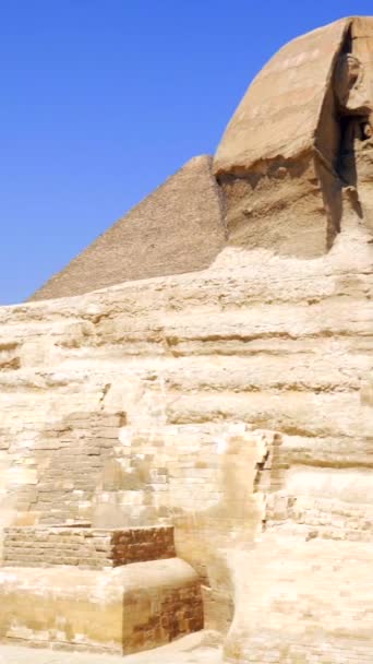 銀座のピラミッドの横にあるギザの美しい大スフィンクスのパンニングショット エジプトのカイロ — ストック動画