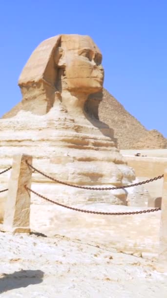 一位身穿红色衣服 头戴草帽的年轻的白人黑发女子正在参观银座金字塔旁边的银座大狮身人面像 埃及开罗 — 图库视频影像