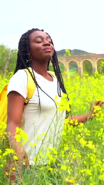 Lifestyle Enjoying Nature Freedom Portrait Black Ethnic Girl Braids Field — Stock video