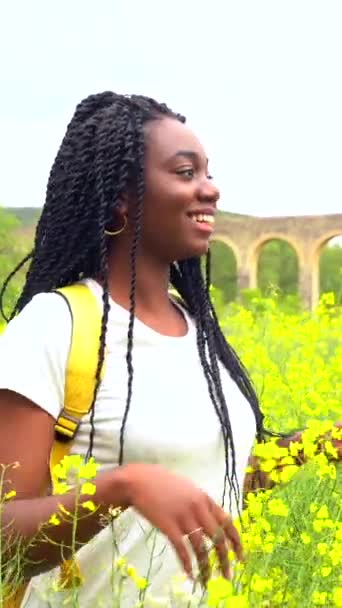 生活方式 自由自在地享受大自然 在一片黄色的花朵中 描绘着一个头戴辫子的黑人姑娘 — 图库视频影像