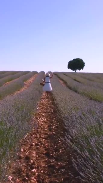 Lifestyle Woman Summer Lavender Field White Dress Enjoying Nature — Video