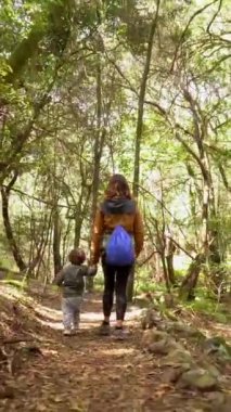 Anne ve oğlu, Kanarya Adaları 'ndaki Garajonay Ulusal Parkı' nın yosunlu ağaç ormanında yürüyor. Las Creces gezisinde.