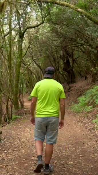 ガラジョニー国立公園 ゴメラ カナリア諸島の苔むした木の森の中の歩道上の男 クレセスへの遠足で — ストック動画