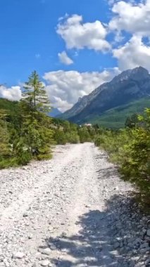 Valbona Vadisi 'ndeki ağaçtaki patika Theth, Theth Ulusal Parkı, Arnavutluk Alpleri, Valbona Arnavutluk' a doğru ilerliyor