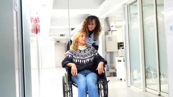 病院の廊下に車椅子に乗って成熟した女性を運ぶ看護師 — ストック動画