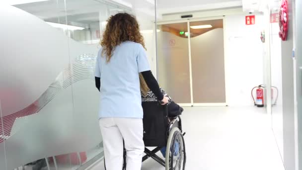后视镜看到一名护士在医院走廊上推着轮椅与妇女同行 — 图库视频影像