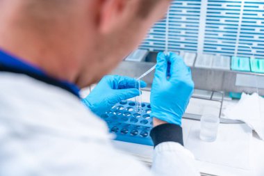 Doktor hastane laboratuarında numuneleri analiz etmek için pipette kullanıyor.