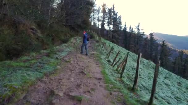 Escursionista Sesso Maschile Che Cammina Sentiero Una Foresta Faggi Montagna — Video Stock
