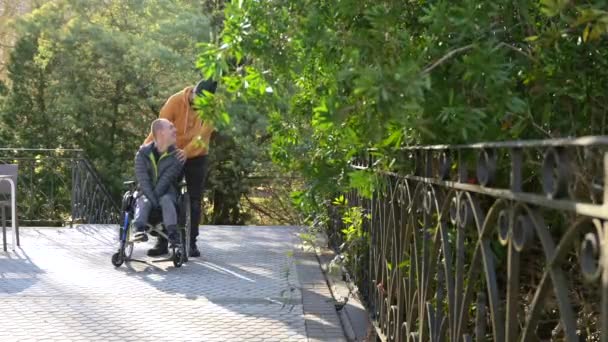 Cuidador Empujando Silla Ruedas Hombre Discapacitado Sonriente Parque Urbano — Vídeo de stock