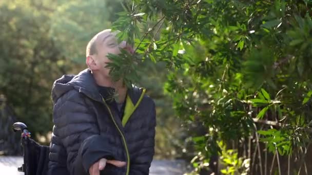 Güneşli Bir Günde Şehir Parkında Doğayı Düşünen Mutlu Engelli Bir — Stok video