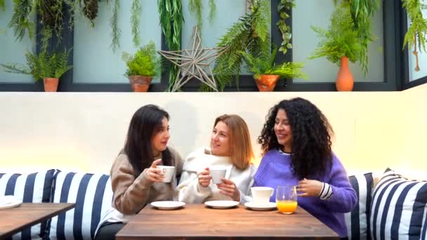 Três Mulheres Caucasianas Adultas Diversificadas Que Refrigeram Falam Refeitório — Vídeo de Stock