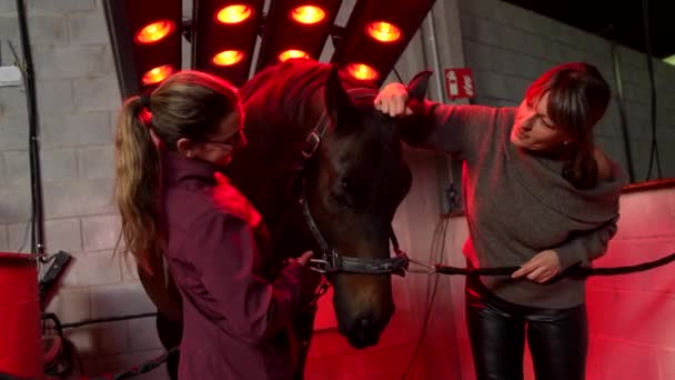 在康复中心有一匹马的妇女在一个创新的动物疗养院里 — 图库视频影像