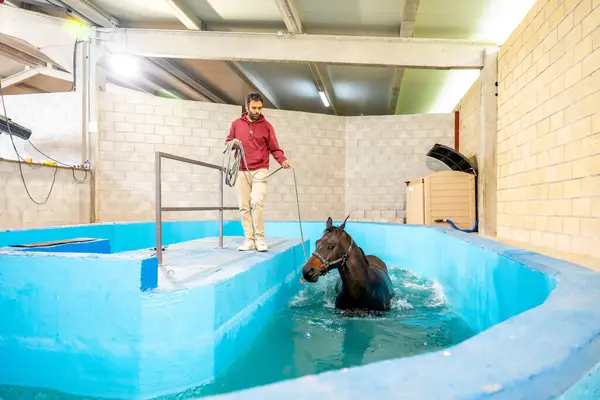 Rehabilitation center for animals after sportive injures with a pool for hydrotherapy