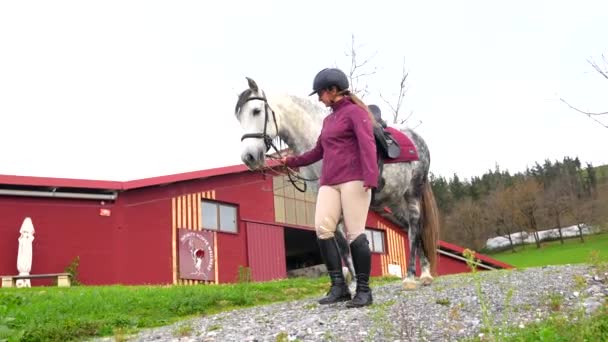 Szeroki Widok Zdjęcie Samicy Młodego Trenera Koni Białego Konia Spacerujących — Wideo stockowe