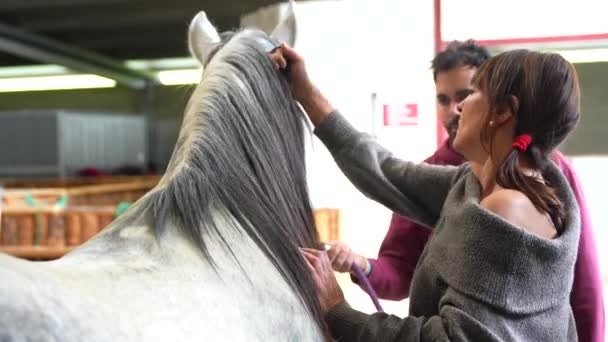 Mulher Arrumando Juba Cavalo Estábulo Lado Colega — Vídeo de Stock
