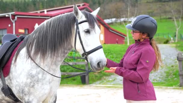 Женщина Защитном Снаряжении Стоит Обнимает Лошадь Центре Конного Спорта — стоковое видео