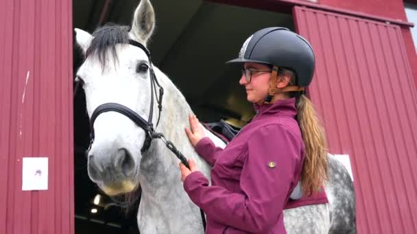 安定した外の彼女の馬を世話する女性の若いジョッキーの低い角度の眺めの写真 — ストック動画