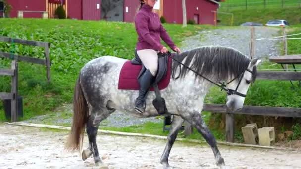 Genç Bir Kadın Jokeyin Atıyla Birlikte Bir Binicilik Merkezinde Antrenman — Stok video