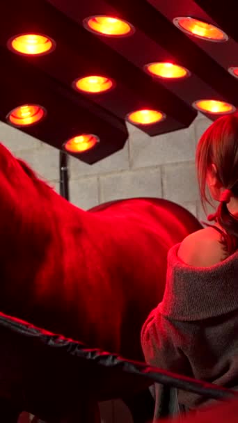 在康复中心有一匹马的妇女在一个创新的动物疗养院里 — 图库视频影像