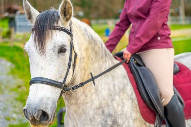At sürerken elinde koşum takımı tutan bir kadının kesilmiş fotoğrafı.