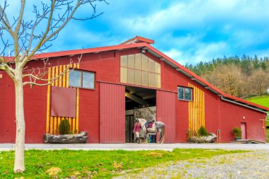 Kadın ve at bir binicilik merkezinde eğitimini tamamlıyorlar.