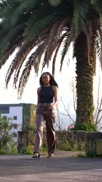 一个非洲美女模特在公园摆姿势的低视角垂直照片 — 图库视频影像