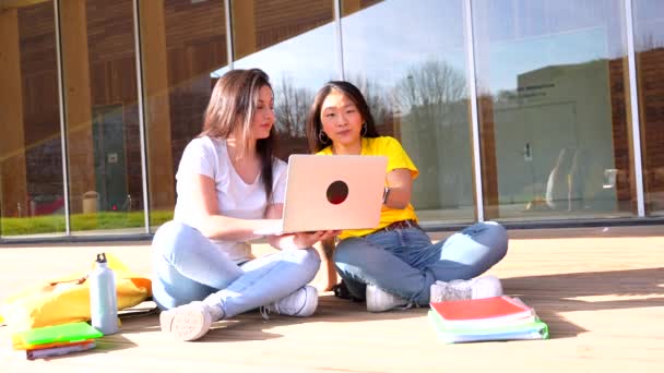 晴れた日のキャンパスに座ってラップトップを使用して2人の多民族陽気な若い学生 — ストック動画