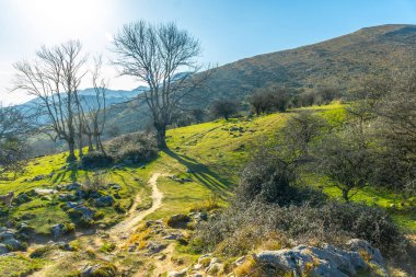 Gipuzkoa, Bask Bölgesi 'ndeki Ernio Dağı' nın zirvesine ya da Hernio 'nun tepesine kadar gidin.