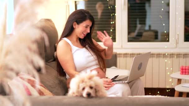 Lycklig Gravid Kvinna Visar Ultraljud Online Videosamtal Sitter Soffan Hemma — Stockvideo