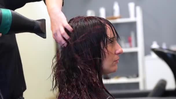 Zdjęcie Profilowe Anonimowego Fryzjera Używającego Suszarki Włosów Suszenia Włosów Klienta — Wideo stockowe
