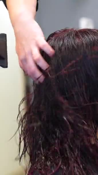Φωτογραφία Προφίλ Ενός Ανώνυμου Κομμωτή Που Χρησιμοποιεί Στεγνωτήρα Μαλλιών Για — Αρχείο Βίντεο