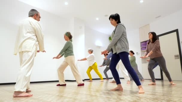 Пожилые Женщины Классе Гонг Хореография Упражнений Координации Движения — стоковое видео