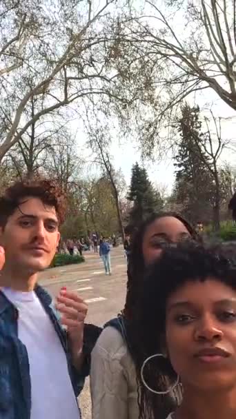 Çeyrek Boyunda Parkta Selfie Çeken Beş Çok Irklı Arkadaşın Portresi — Stok video