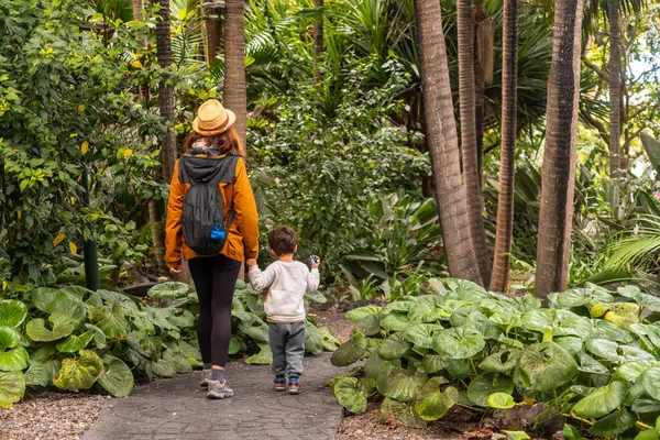 Egy Akinek Fia Egy Botanikus Kertben Sétál Séta Családdal Nyaralni Stock Kép