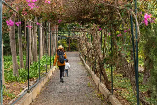 Uma Mãe Uma Criança Desfrutando Andando Jardim Botânico Conceito Férias Imagem De Stock