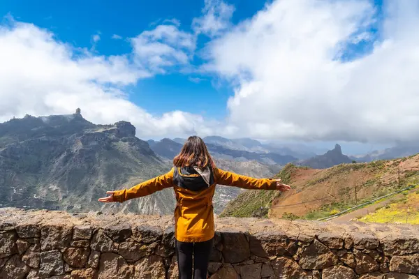 Une Touriste Qui Regarde Roque Nublo Point Vue Sur Montagne Photo De Stock