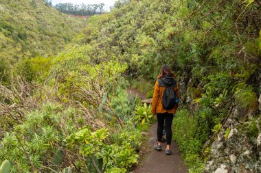 Los Angeles de Moya 'nın Laurisilva ormanında bir patika boyunca yürüyen kadın, Gran Canaria