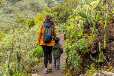 Laurisilva ormanında oğluyla birlikte bir anne. Los tilos de Moya, Gran Canaria