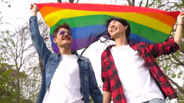 Ritratto Gay Multietnici Felici Che Sventolano Bandiera Arcobaleno Lgbt Parco — Video Stock