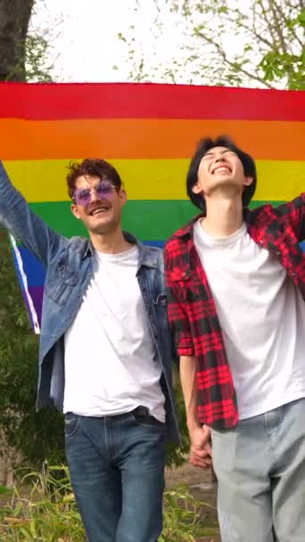 一对多种族同性恋夫妇在公园升起彩虹Lgbt旗的肖像 — 图库视频影像