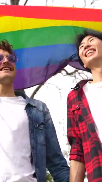 Portrett Glade Fleretniske Homofile Mennesker Som Vinket Lgbt Regnbueflagg Park royaltyfrie stockvideoer