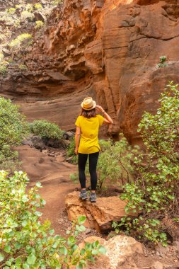 Kanarya Adaları 'ndaki Barranco de las Vacas Kireçtaşı Kanyonu' nda bir kadın turist.