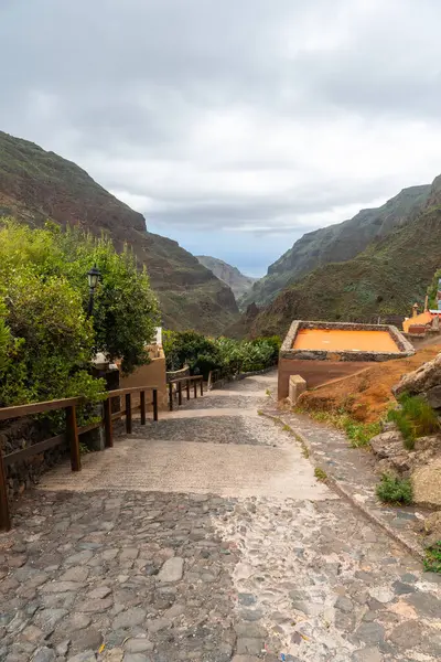 Sentieri Che Salgono Barranco Guayadeque Gran Canaria Isole Canarie — Foto Stock