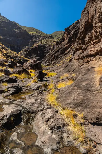 Charco Azul 'a giden yolda güzel bir nehir Podems' de Agaete 'ye Gran Canaria, Kanarya Adaları' nda